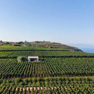  Resort Tenuta Di Castellaro Winery &